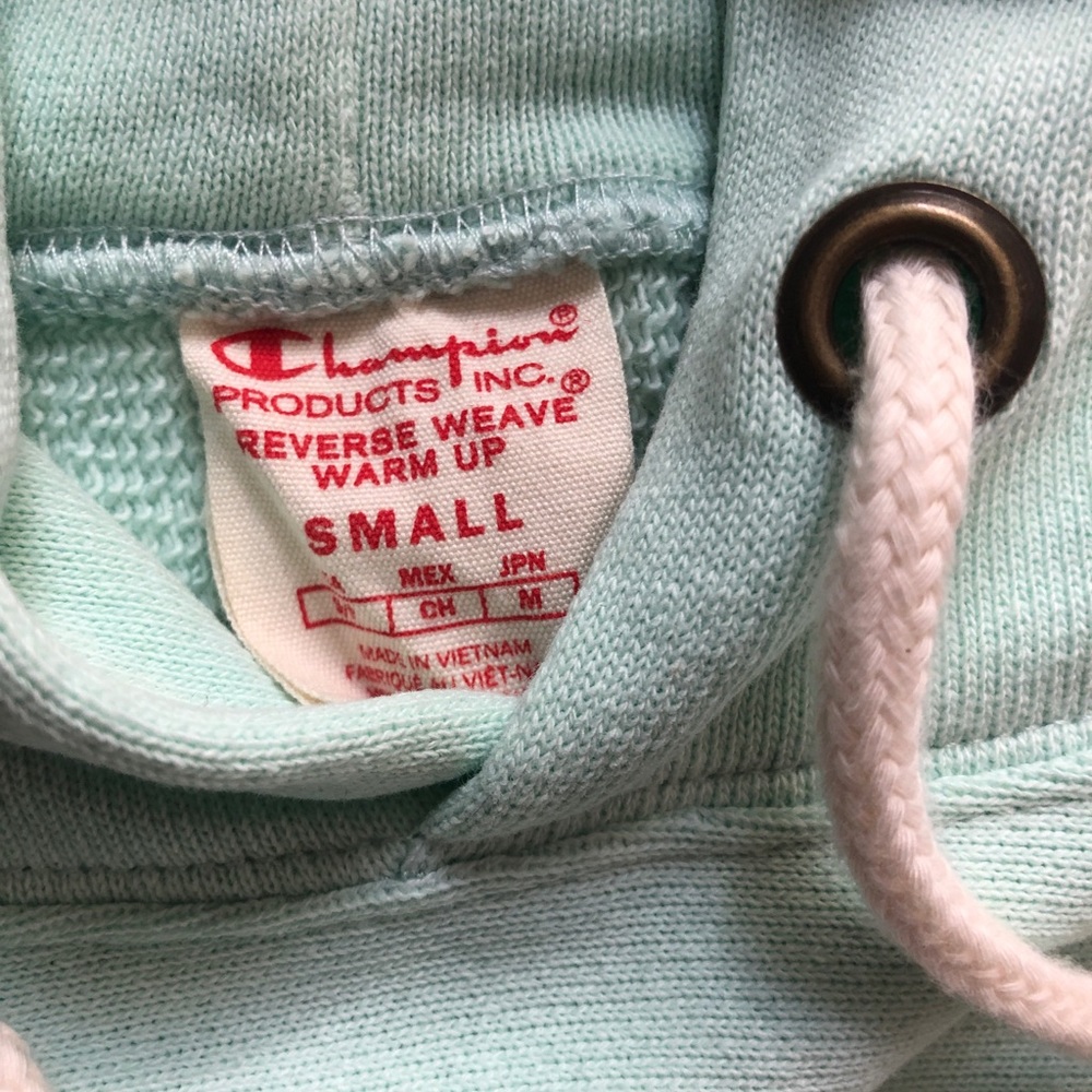 Champion Reverse Weave Small Script Hoodie Hemlock - Picture 8 of 11